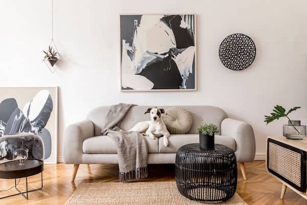 Dog lying on a gray couch