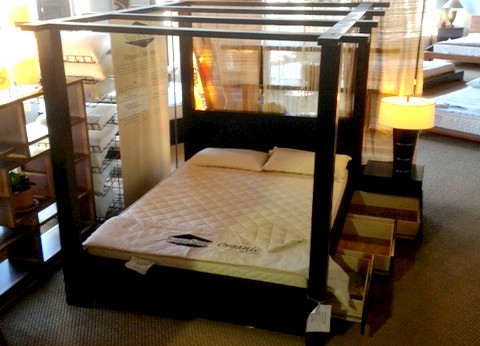 Canopy Bed Queen Designs By Foam Order