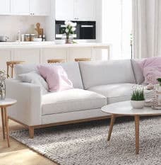 White Couch and Tables with Plants in Room