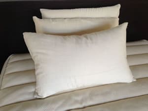 Custom Down Pillow Inserts