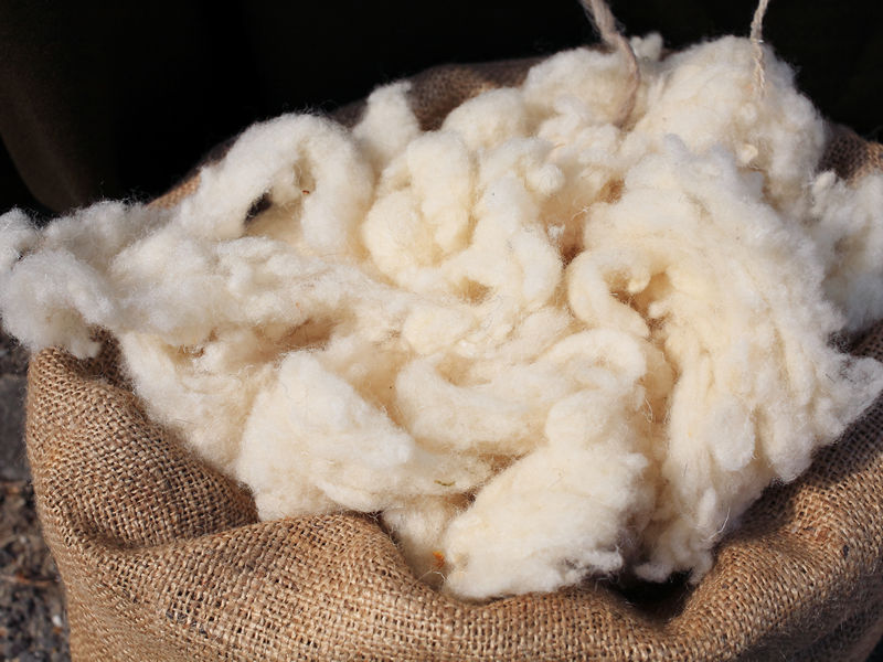 Organic Wool Batting