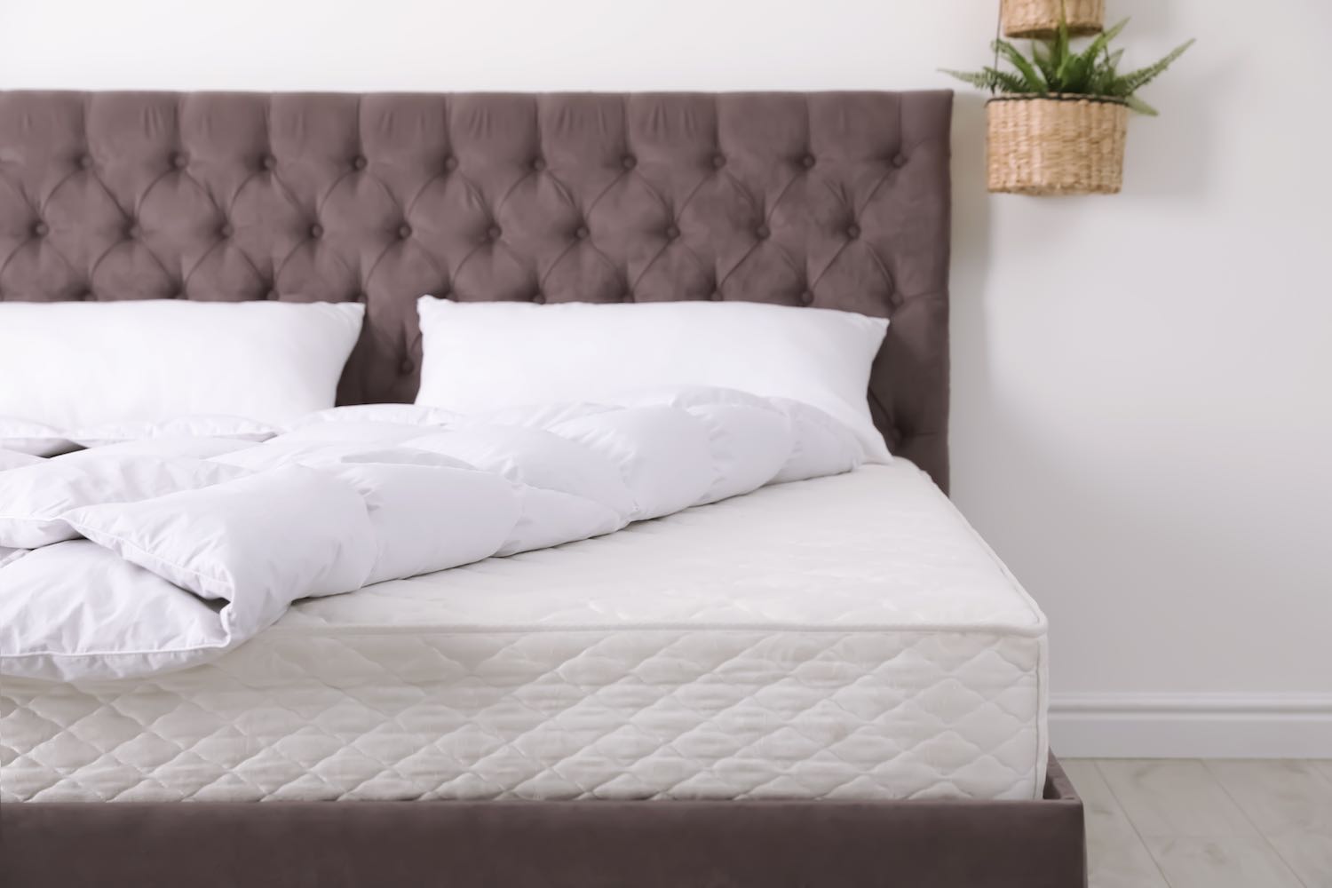 100 Certified Organic Mattress FoamOrder